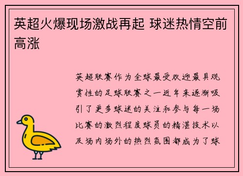 英超火爆现场激战再起 球迷热情空前高涨
